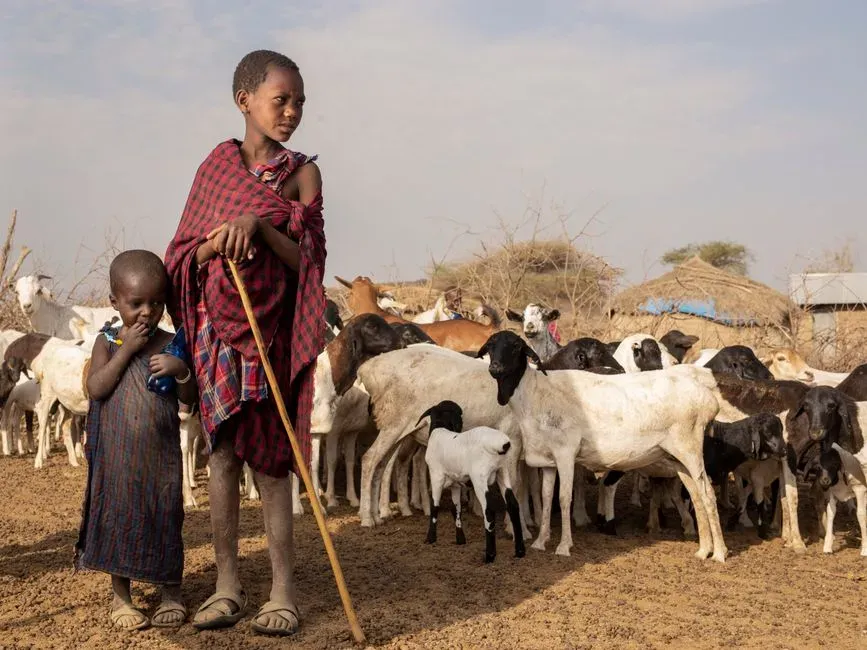 4. Herding Skills Are a Rite of Passage for Maasai Boys and Young Men (Image Credits: Pexels)
