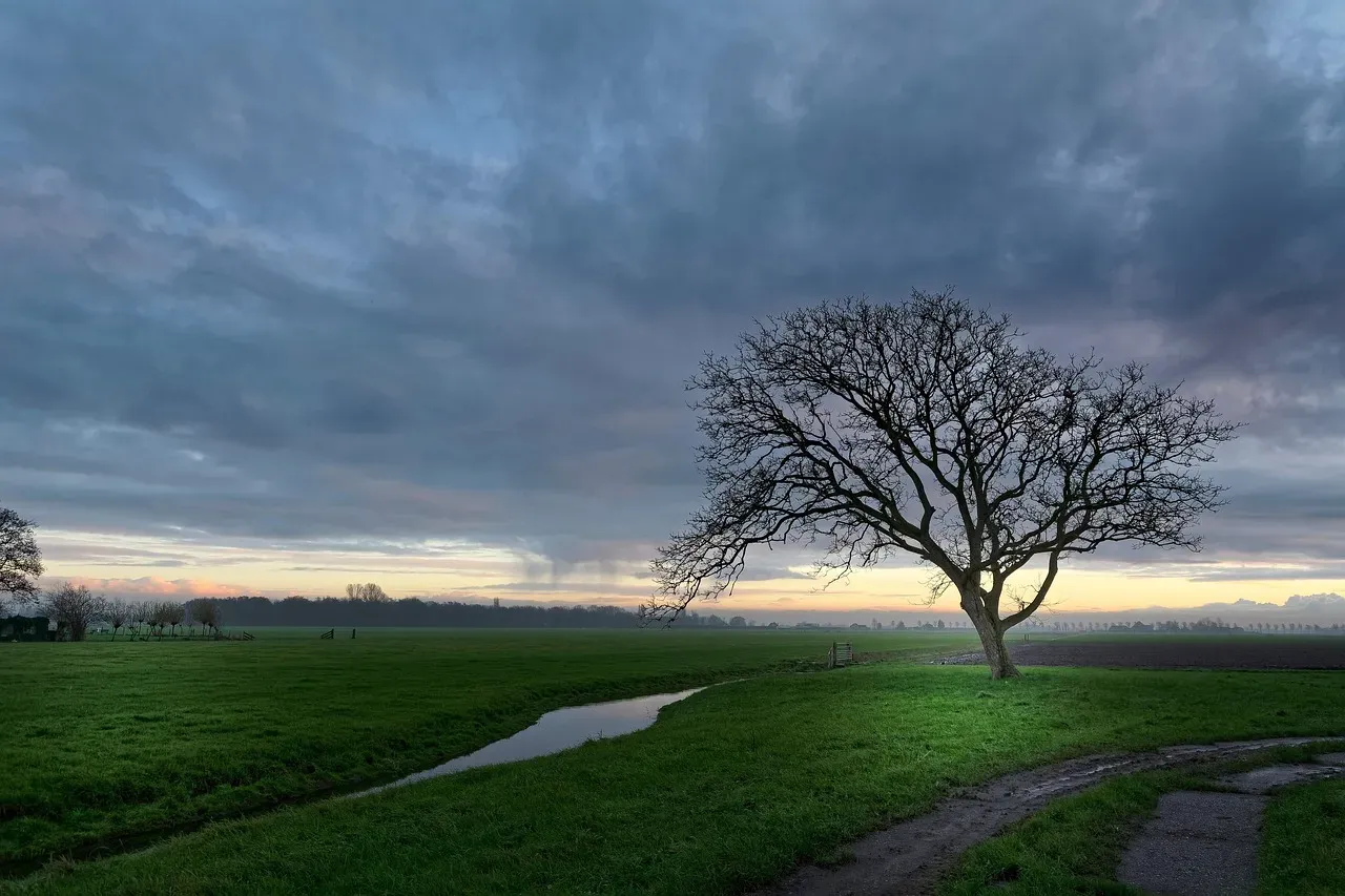 #2 A Ditch Records the Shape and Slope of the Land (Image Credits: Pixabay)