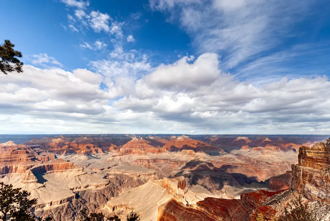 Conservation, Climate Change, and the Canyon's Uncertain Future (Image Credits: Unsplash)