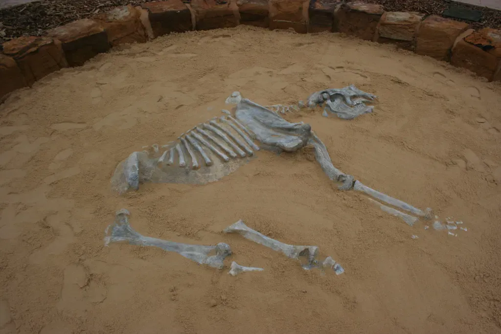 Australia's Diprotodon Puzzle: A Continent-Sized Case Study in Uncertainty (mezuni, Flickr, CC BY 2.0)
