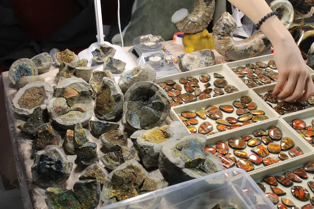 How Black Market Fossils Distort Our Picture of Ancient Life (Image Credits: Unsplash)
