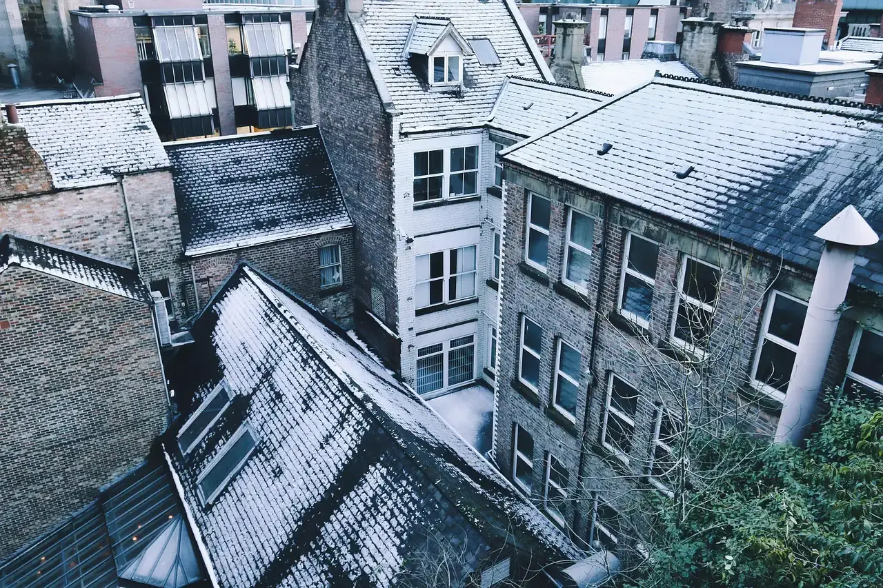 #3 Rooftops and Shed Roofs Facing the Open Sky (Image Credits: Pixabay)
