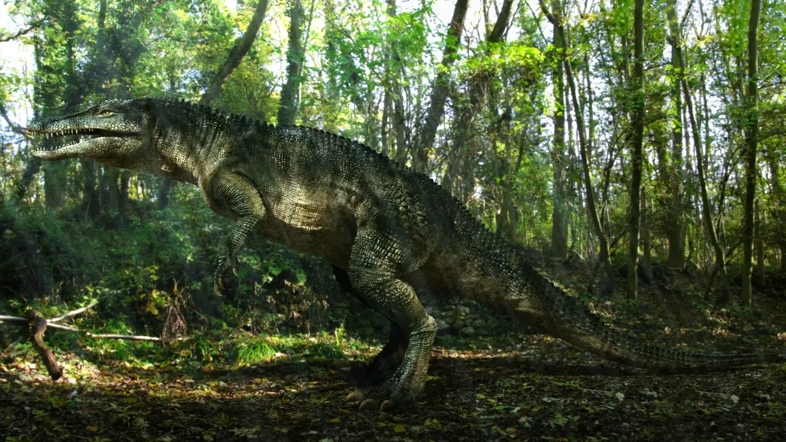 The two‑legged sprint: how a crocodile cousin ended up standing upright (By Johnson Mortimer, CC BY 3.0)