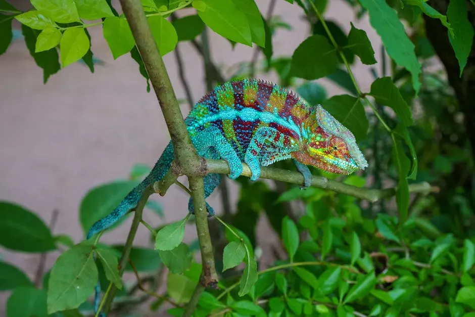 6. You Blend In When You Need To, Like a Chameleon (Libra, Pisces, Gemini) (Image Credits: Pexels)