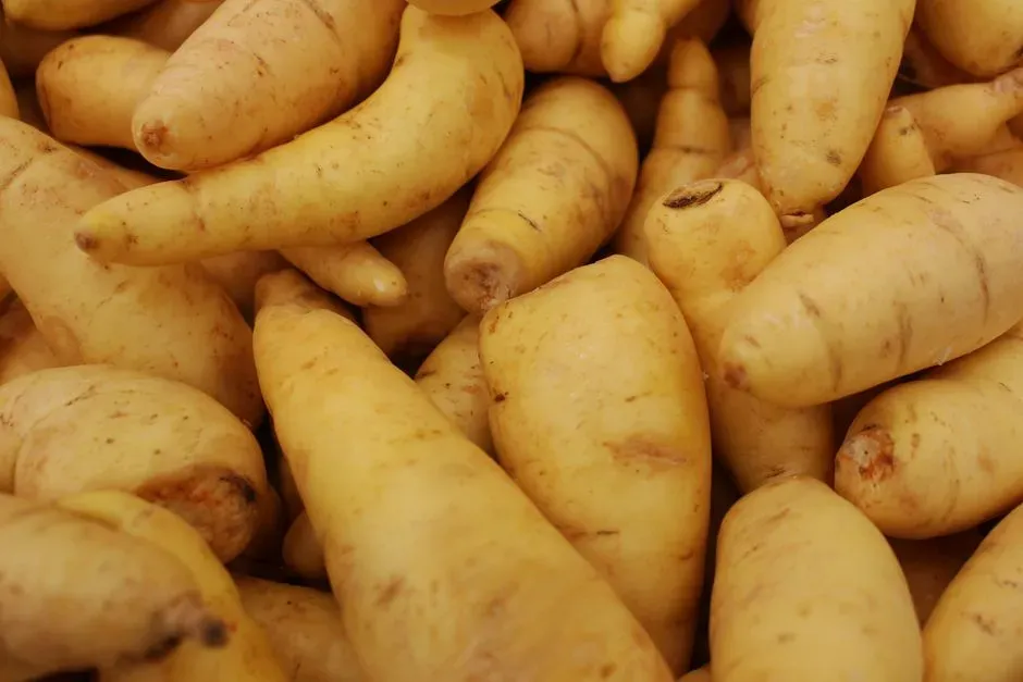 #4 - Cooked Starchy Tubers Dug From the Dirt (Image Credits: Pexels)