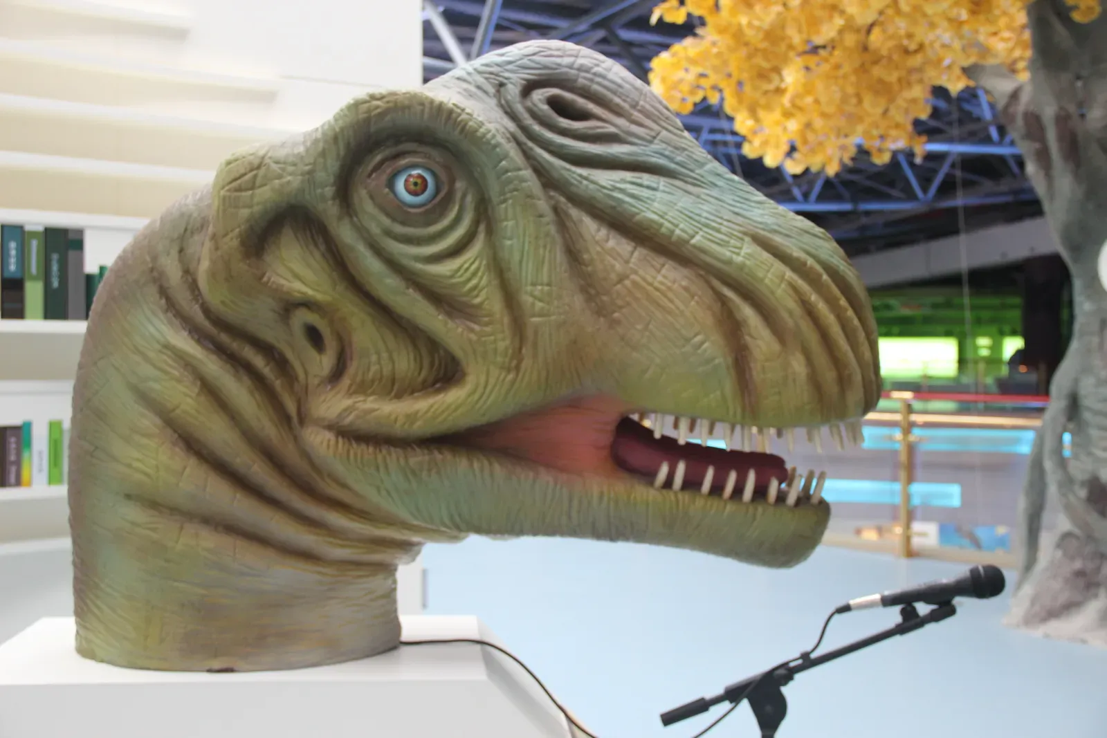 Why Intelligence Isn't Inevitable (Image Credits: Wikimedia)