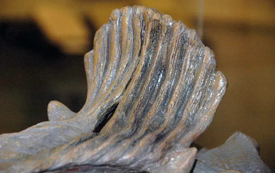 Erosion: The Great Destroyer of Fossil Records (Image Credits: Wikimedia)