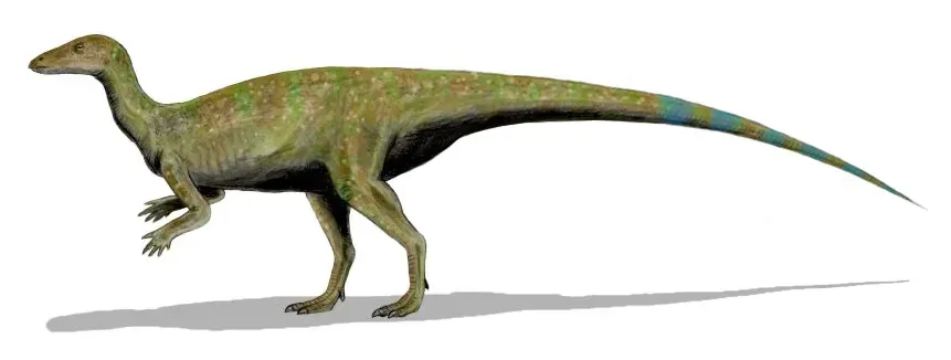 4. Thescelosaurus Sniffed Out Underground Treasures (By Nobu Tamura (http://spinops.blogspot.com), CC BY 2.5)