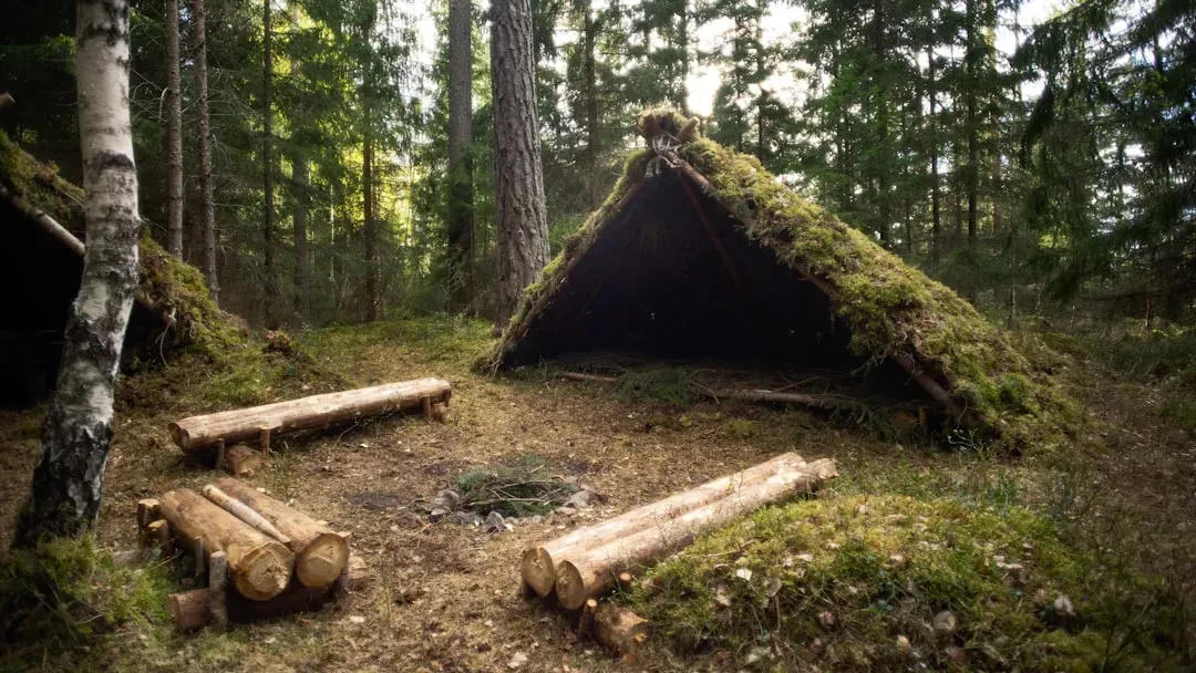Conclusion: Survival Demands More Than Just Good Intentions (Image Credits: Unsplash)