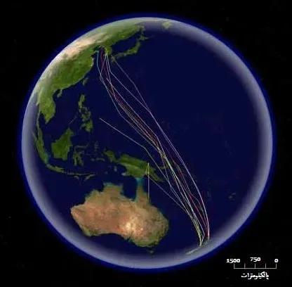 How Animals That Use Earth’s Magnetic Field Might Be Affected (Derivative from: this file, Public domain)