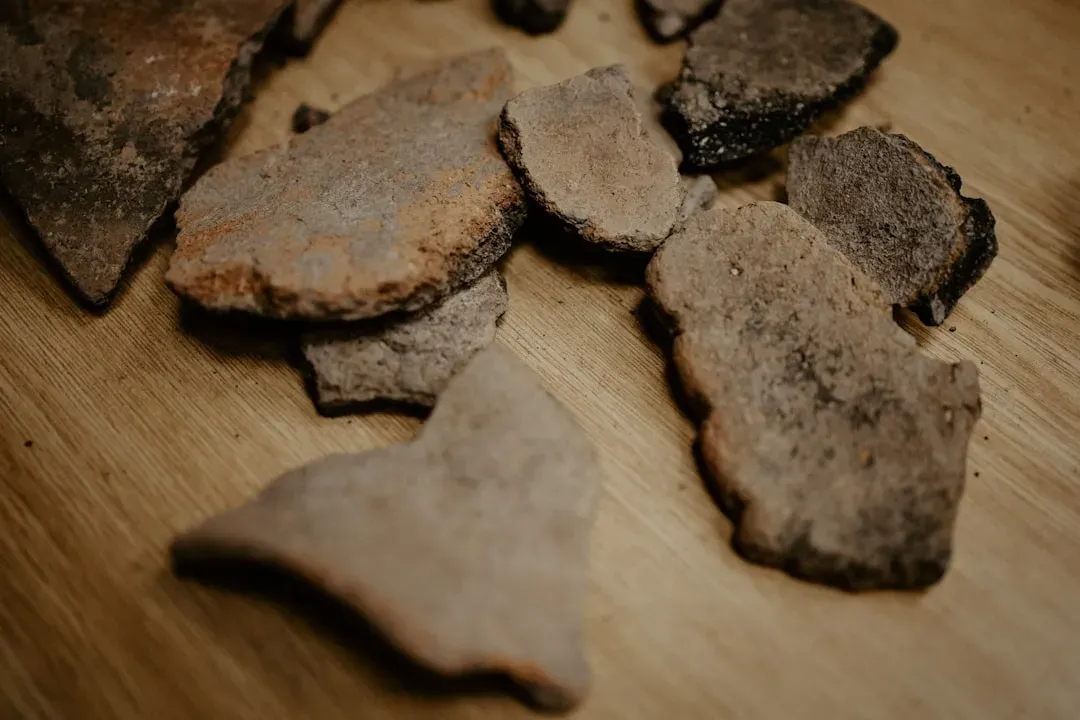 Tools Older Than Expected: Rewriting the Human Timeline (Image Credits: Unsplash)