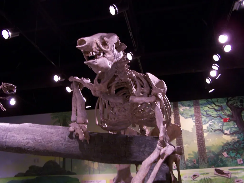 #12 - Bony Armor Plates Hidden Inside Their Own Skin (ZacharyTirrell, Flickr, CC BY-SA 2.0)