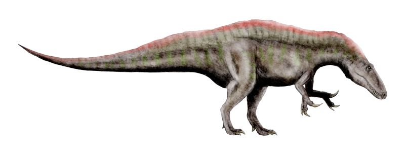 Acrocanthosaurus: The High-Spined Stalker (Image Credits: Wikimedia)