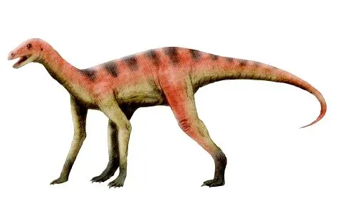 The First Appearance in the Mid-Triassic (Image Credits: Wikimedia)