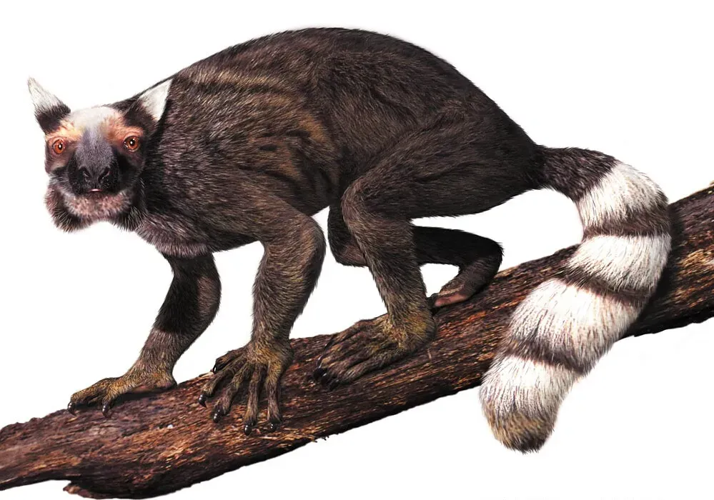 Why These Prehistoric Primates Matter (Image Credits: Flickr)
