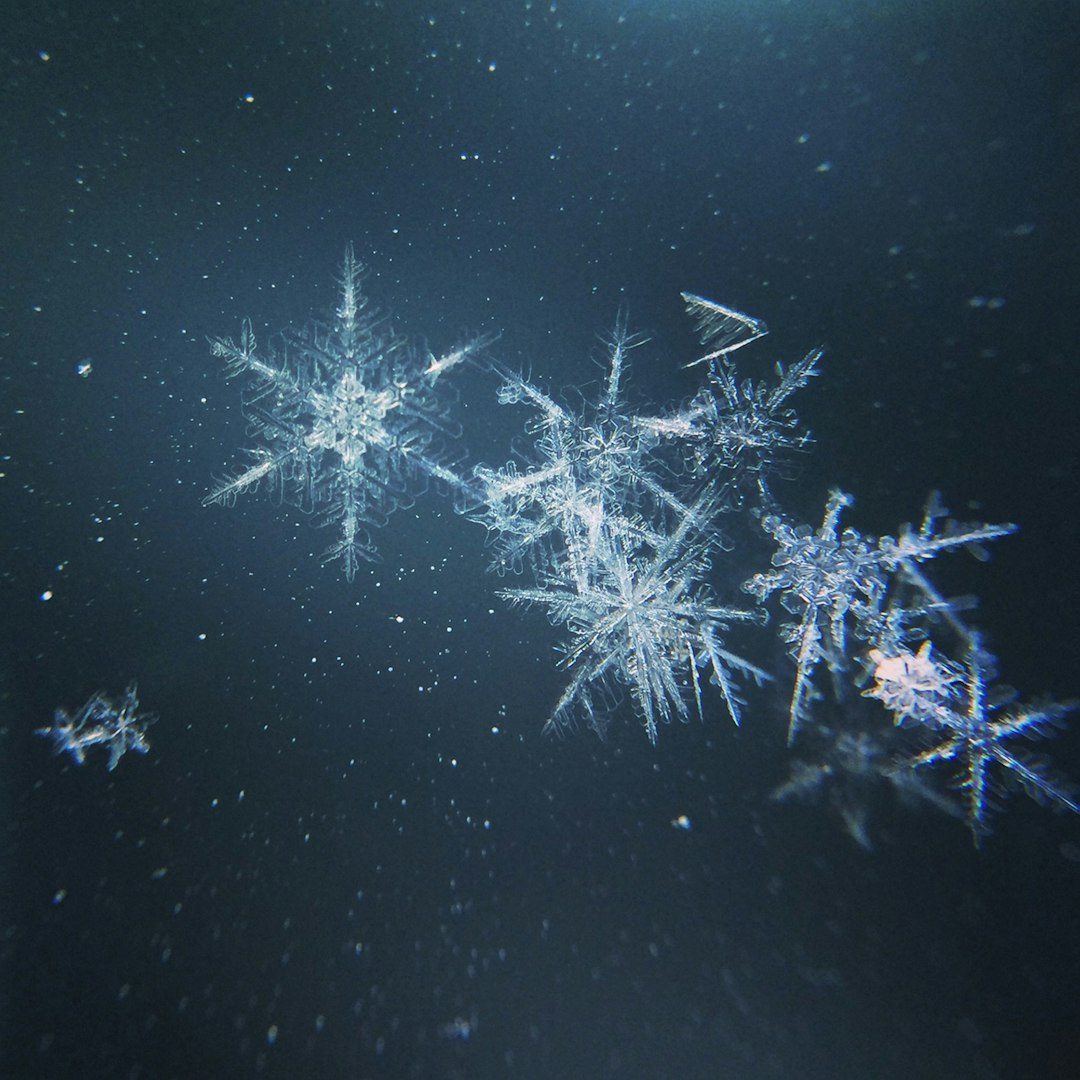 The Fairy of Snowflakes: Born in January (Image Credits: Unsplash)