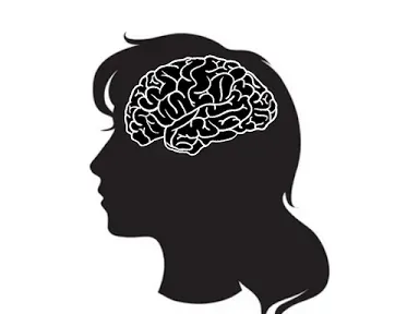 Your Brain's Remarkable Ability to Change Itself (Image Credits: Wikimedia)