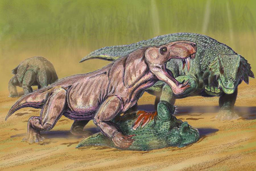 Inostrancevia – The Saber-Toothed Proto-Mammal (Image Credits: Wikimedia)