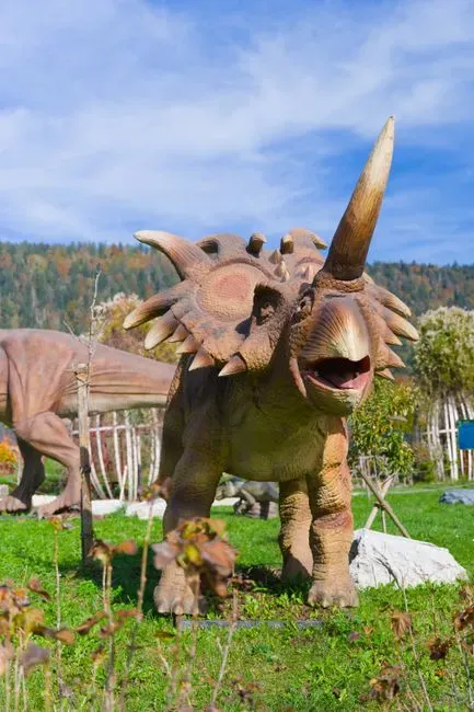 If You Are Flashy, Expressive, and Socially Complex: The Ceratopsian Display Partner (Image Credits: Pexels)