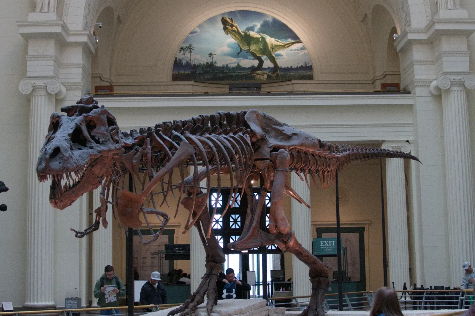 The Field Museum, Chicago, USA (By Amphibol, CC BY-SA 4.0)