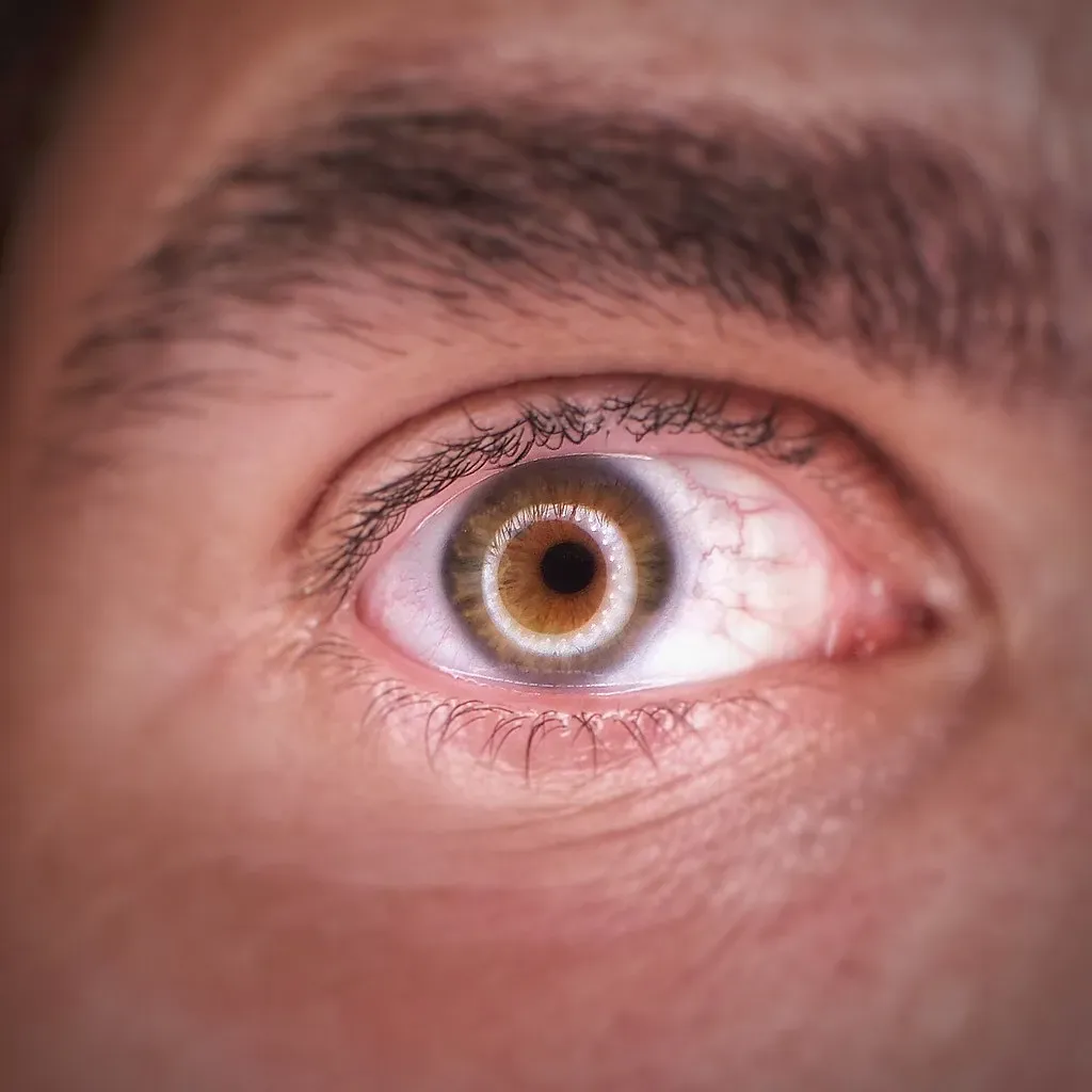 Testing Claims: What Happens Under Scientific Scrutiny (Image Credits: Flickr)