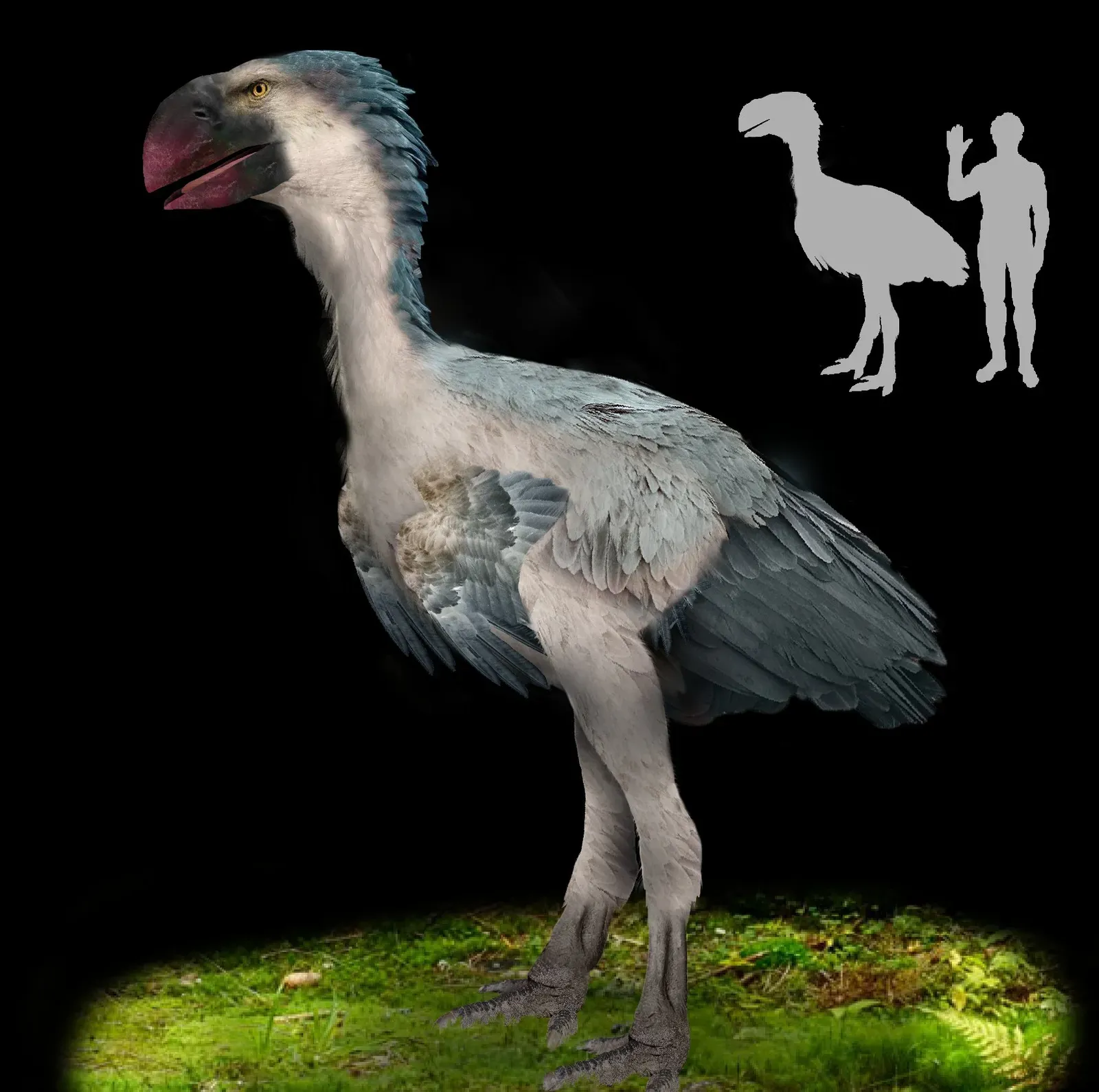 #9 - Gastornis, the Giant Bird Everyone Miscast as a Monster (Image Credits: Wikimedia)