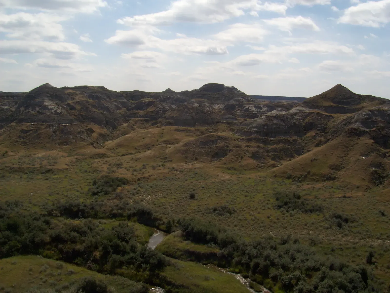 Dinosaur Provincial Park, Alberta (Image Credits: Wikimedia)