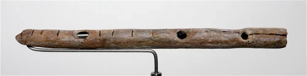 Why Bone Flutes Rewrite the Story of “Primitive” Neanderthals (By José-Manuel Benito, CC BY-SA 2.5)