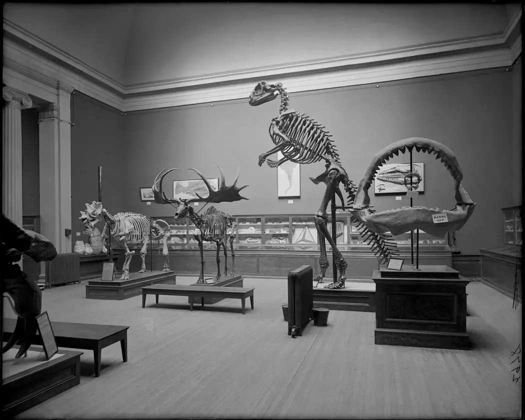 Lost to Living Rooms: How Private Collections Starve Science (By The Field Museum Library, No restrictions)
