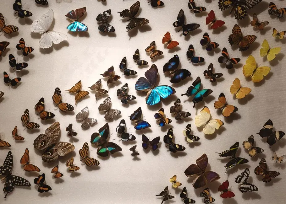 #2 - Taxonomists Still Argue About How Many "Ghost Species" Actually Exist (Image Credits: Pexels)
