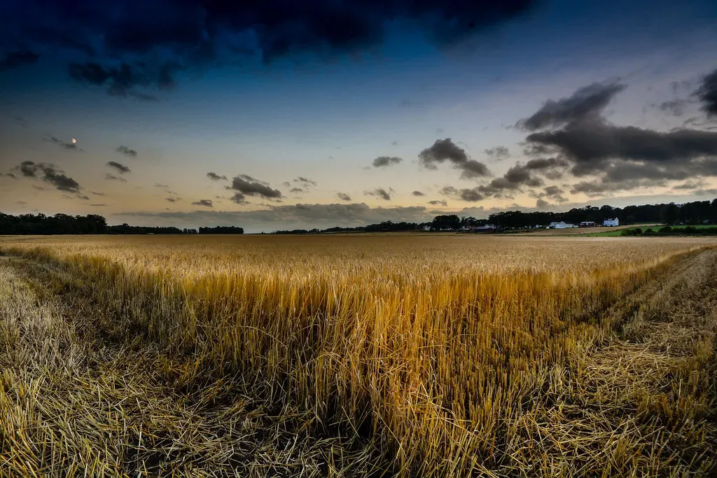 The Earth Triplicity: Taurus, Virgo, and Capricorn as One Living System (Image Credits: Flickr)