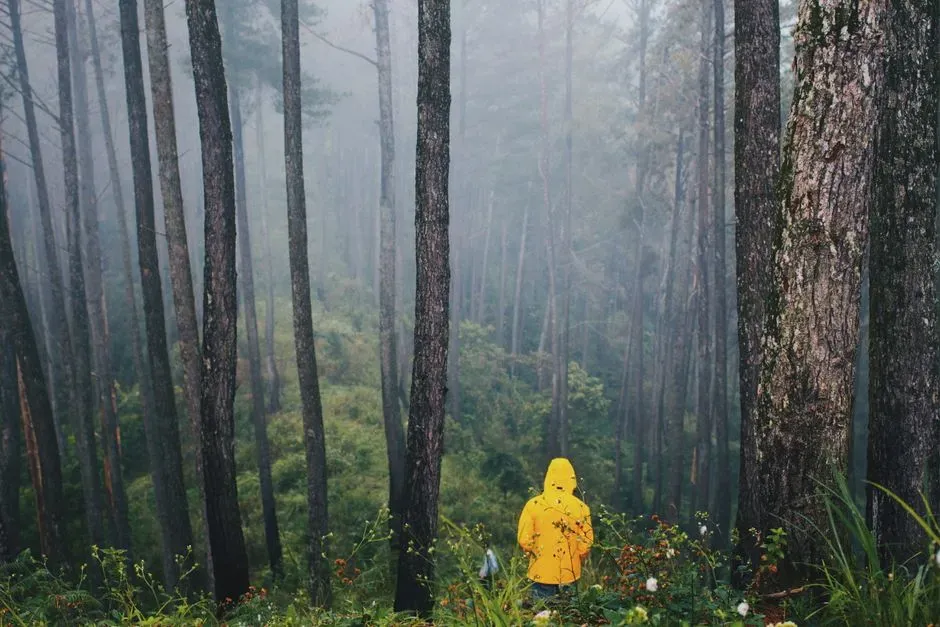 Listening differently: turning fear into information instead of panic (Image Credits: Pexels)
