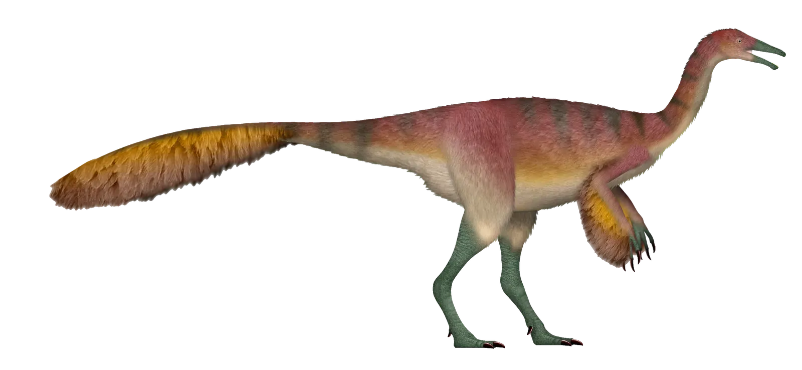 The Diversity Was Staggering (Image Credits: Wikimedia)