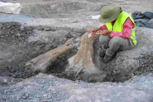 #14 - Antarctica's First Dinosaur Bone, Lost in a Drawer for 40 Years (By UNED Universidad Nacional de Educación a Distancia, CC BY 2.0)