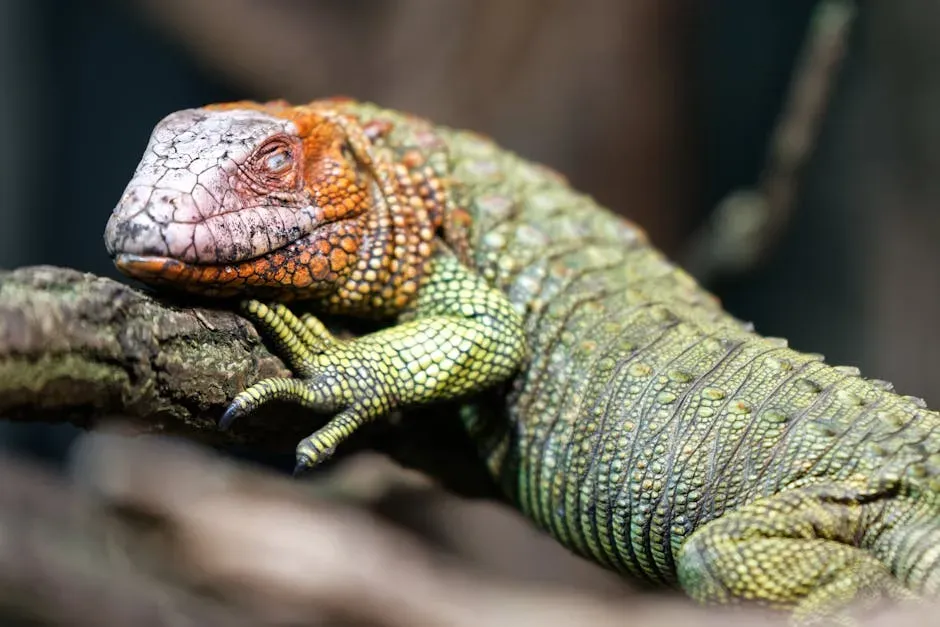 10. The Currently Known Species Represent Less Than One Percent of All Life That Ever Existed (Image Credits: Pexels)