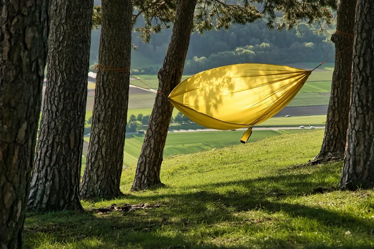 Why Forests Feel Cozy and Plains Can Feel Terrifying (Image Credits: Pixabay)