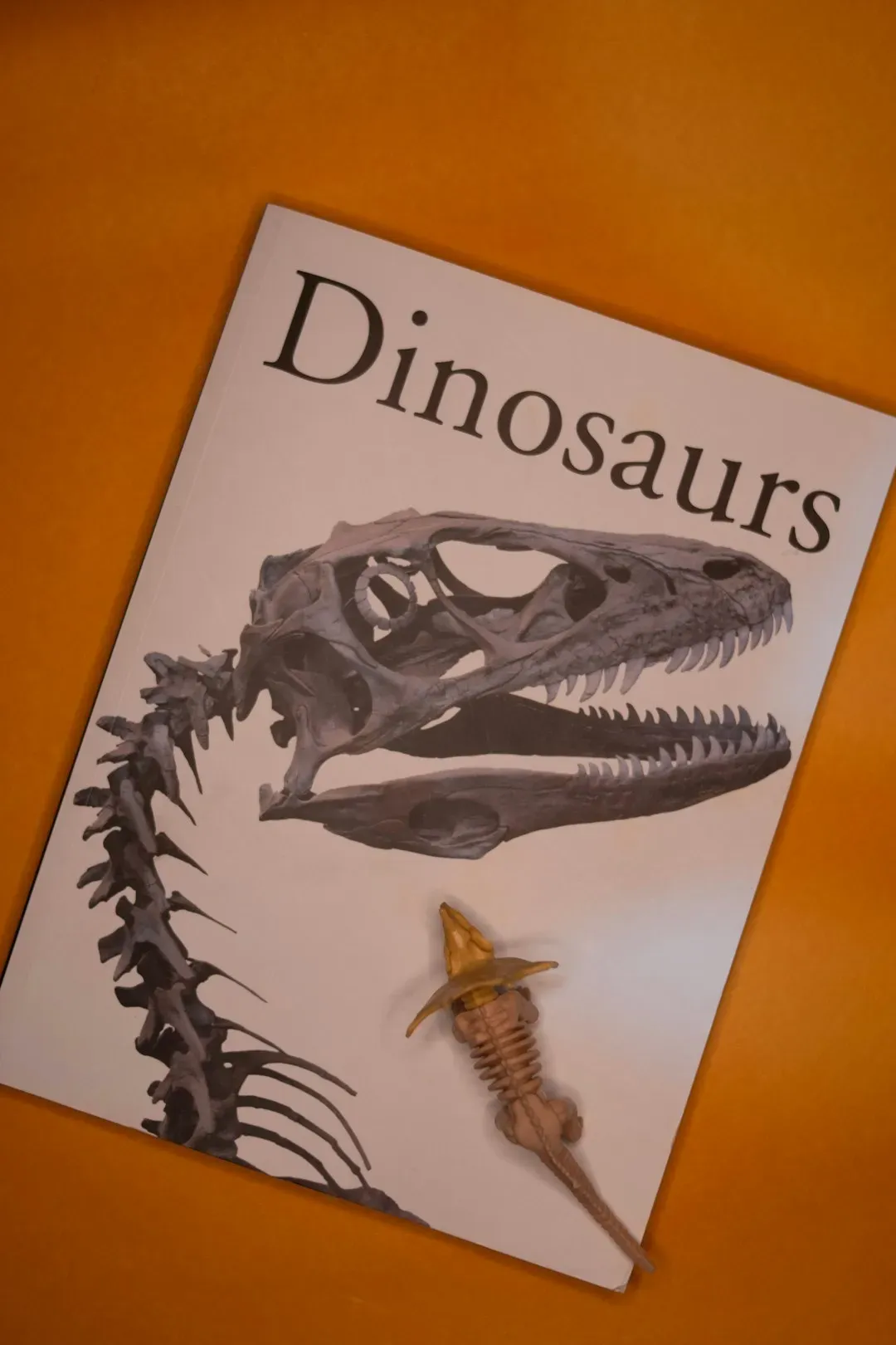The Static Dinosaur Family Trees (Image Credits: Unsplash)
