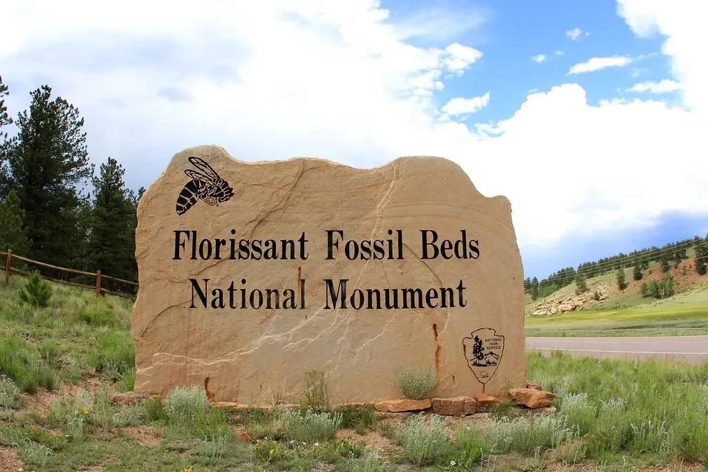 8. Florissant Fossil Beds National Monument, Colorado - A Snapshot of Ancient Life Frozen in Time (daveynin, Flickr, CC BY 2.0)