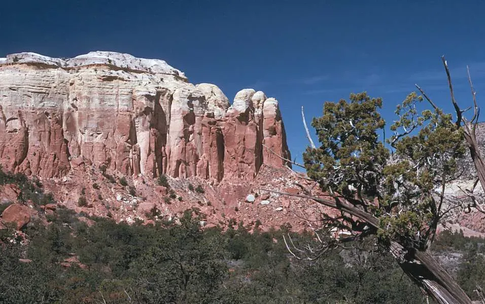 #8 Rockfall Patterns and Debris Cones Triggered by Heavy Rains (Transferred from en.wikipedia to Commons., Public domain)