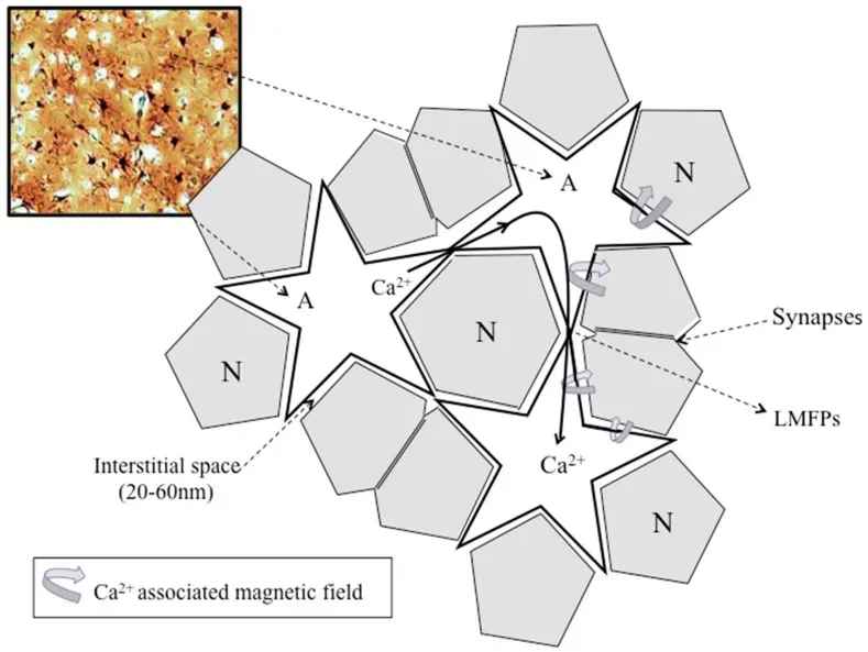 Bioelectric Field Theory: The Spark That Organized Chemistry (Image Credits: Wikimedia)