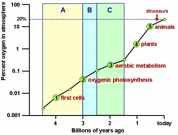 The Great Oxidation Event: When Oxygen Became a Killer (Image Credits: Wikimedia)