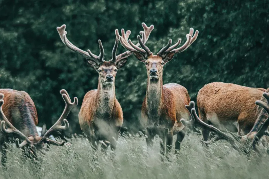 Connection, Awe, and the Feeling of Being Smaller (In a Good Way) (Image Credits: Pexels)