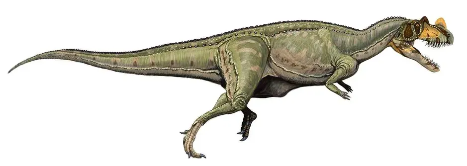 Leo – Ceratosaurus, the Dramatic Showstopper (Transferred from en.wikipedia to Commons., CC BY 2.5)