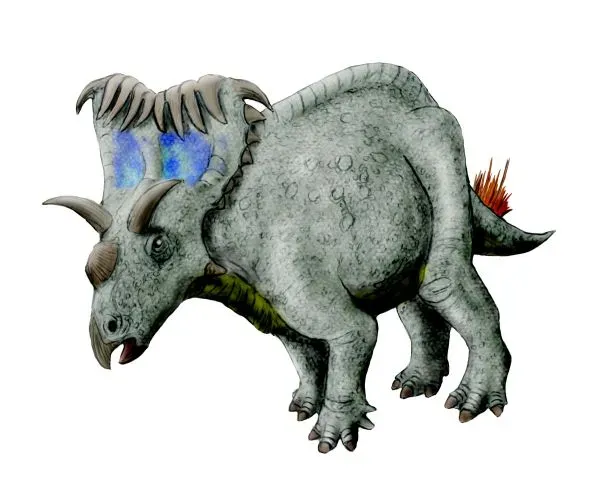 Why So Many Horns? The Show‑Off Side of Dinosaur Evolution (By Nobu Tamura (https://spinops.blogspot.com), CC BY-SA 3.0)