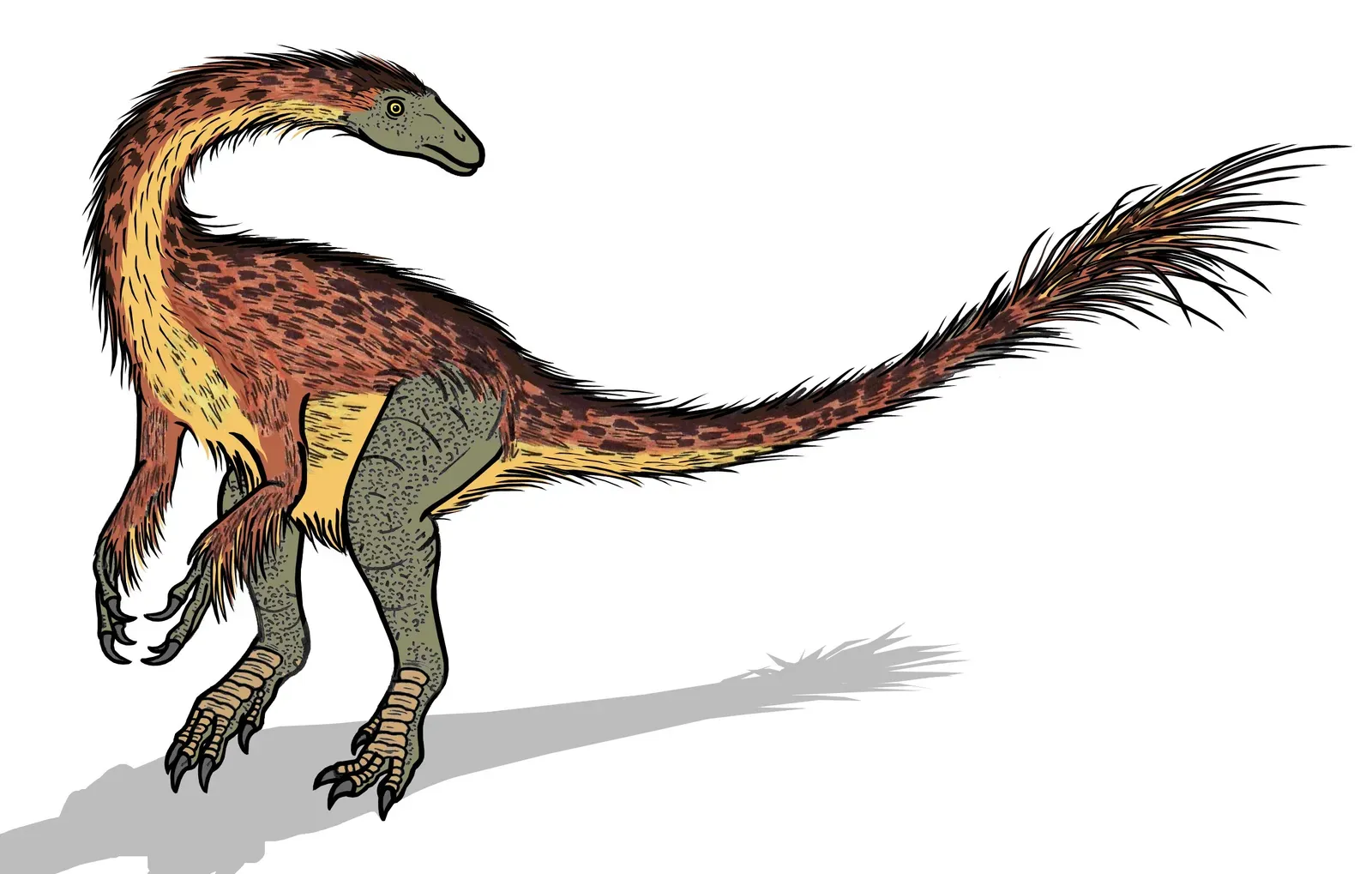 9. Falcarius: The Claw-Handed Plant-Eater That Breaks All the Rules (Image Credits: Wikimedia)