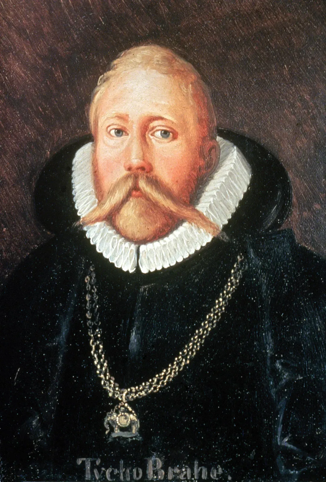 Tycho Brahe's Prosthetic Nose and Drunken Moose (Image Credits: Wikimedia)