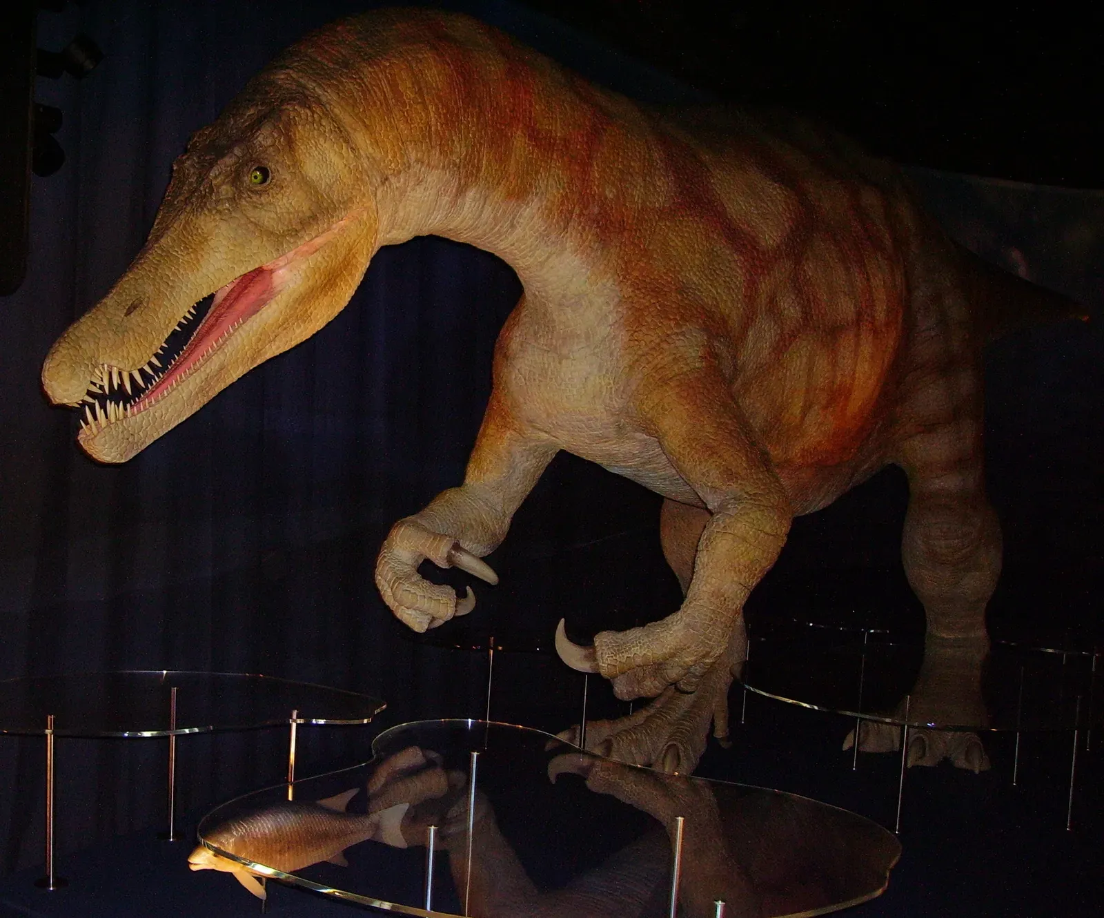 #9 - Baryonyx: The "Land Predator" That Was Actually a Fish Specialist (By Ballista, CC BY-SA 3.0)
