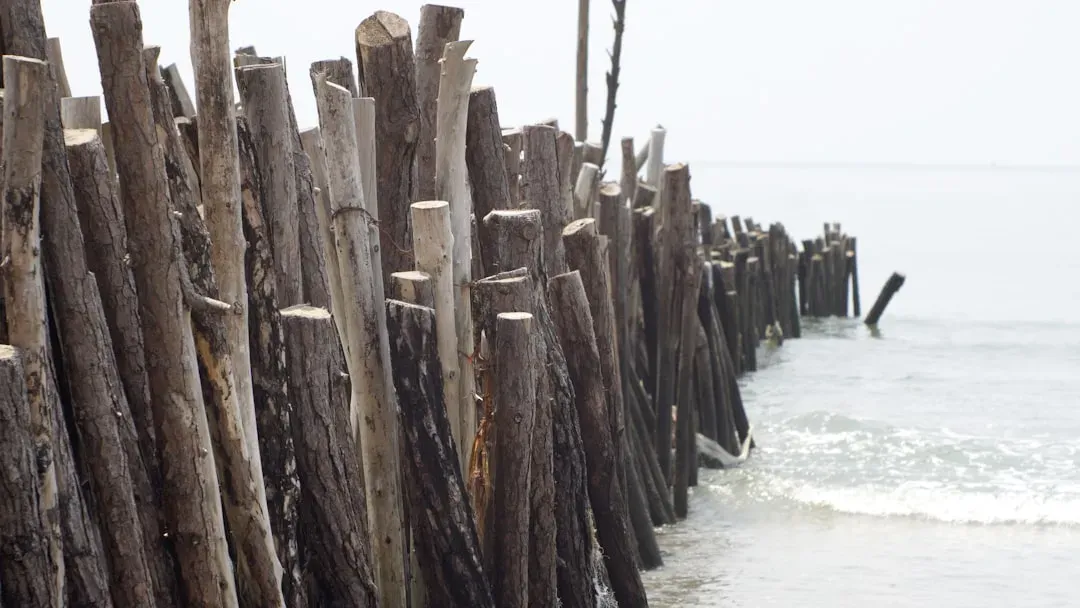 #6 - Timber Pilings Under Concrete Became a Coastal Standard (Image Credits: Unsplash)