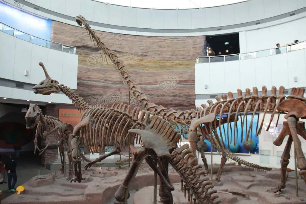 The Bone Wars: When Fossil Hunting Became a Blood Sport (Image Credits: Flickr)