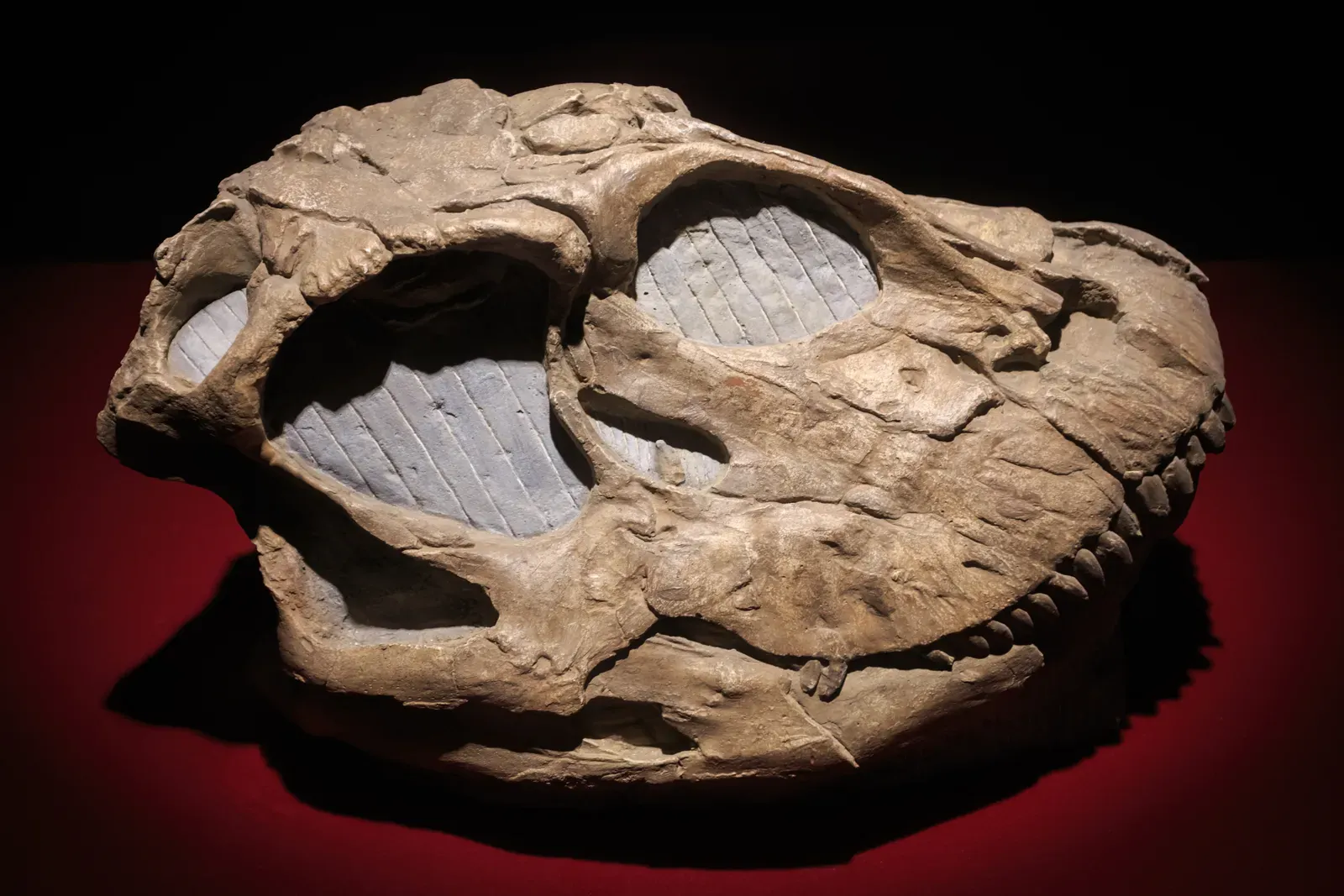 Conclusion (Image Credits: Wikimedia)